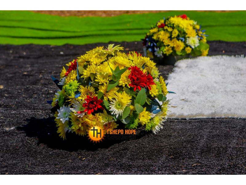 367480439_156927334099921_2190961837159424673_n